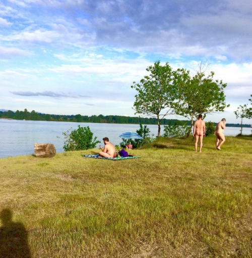 Early Summer, Collins Beach