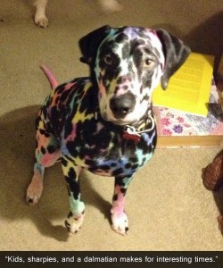theboychosenbythekeyblade:  SHARPIES? Lord, I hope that poor dog didn’t get ink poisoning!  Oh fucking please. Why do people still say shit like &ldquo;you&rsquo;re going to get ink poisoning.&rdquo; I&rsquo;ve been writing on myself my whole life so