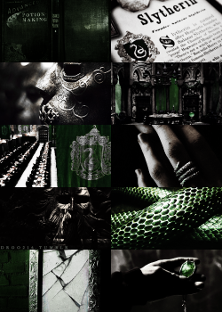 droo216:  houses of hogwarts → slytherin