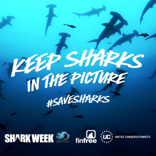 lushcosmetics:  This year (again!), we’re partnering with Discovery Channel and United Conservationists to help #savesharks! Time for a change 🙌🙌🙌