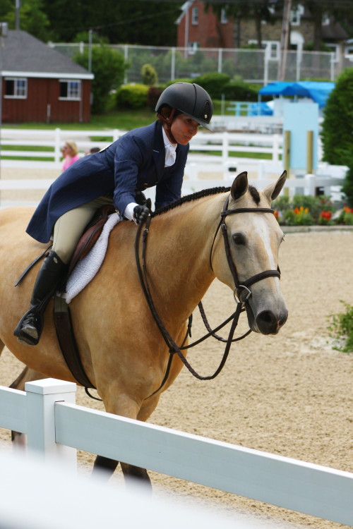 twohearts-onemind:  Golden’s Guidam and Michelle GraysonUSHJA International Hunter DerbyBVSS 2015