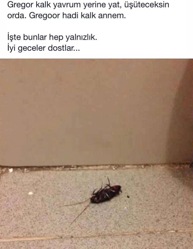 gregor samsa bir sabah...