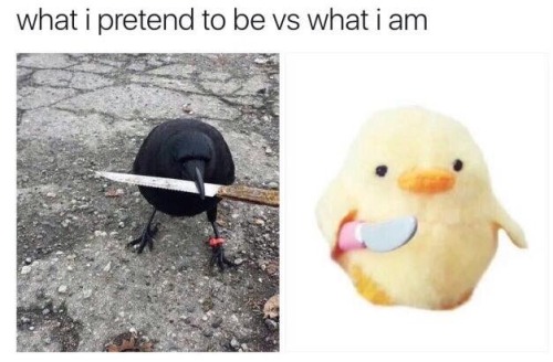 bitchycode:accurate