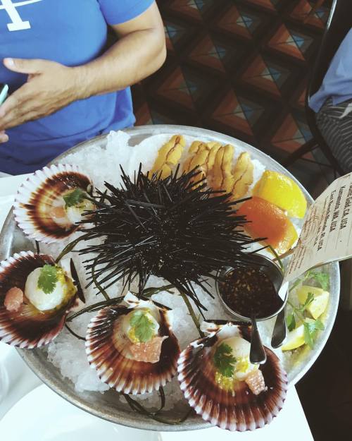 Mommy time is the best time ft. Sea urchin and raw scallops || #seaurchin #seafood #scallops #oyster