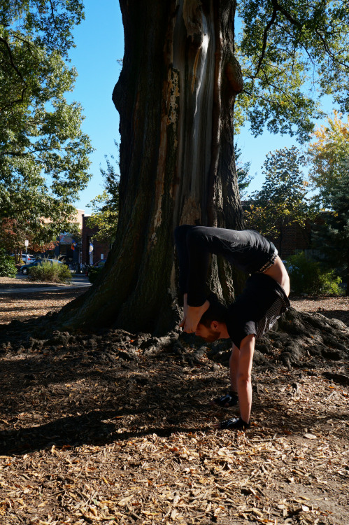 Handstand Scorpion & Dancer, on a nice autumn day.