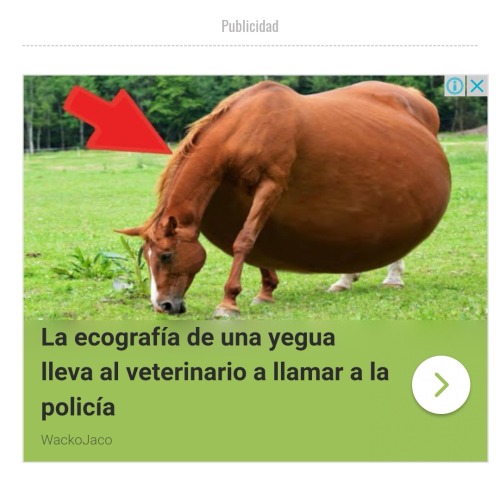 Today In "weird Ads I Have Found On The Internet" We Have This Absolutely Normal, Not Photoshopped, Picture