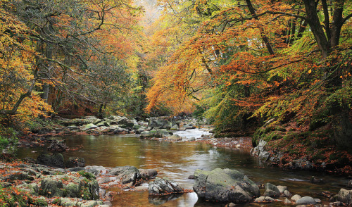 darkface: River Esk, Lake District, England (via The Autumn Esk…again. | Flickr - Photo Shari