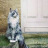 XXX muddlemore:supermodelcats: photo