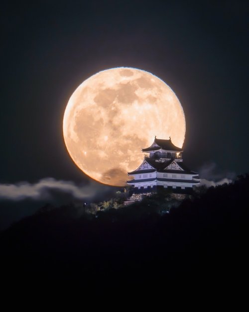 tanuki-kimono:Full moon over Inabayama-jo (castle of Gifu), fantasy-feeling for those breathtaking p