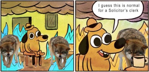 romanticsapcalebmalphas: [Image description: the “This is fine” comic. The dog is flanked by wolves 