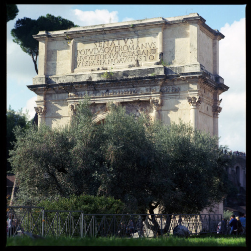  Arch of Titus 