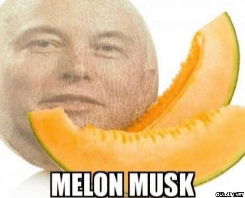 MELON MUSK   Kaynak