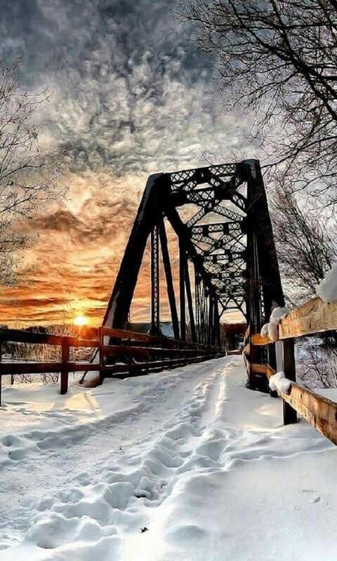 wisco-warrior:  