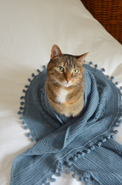 helpiwantcats: