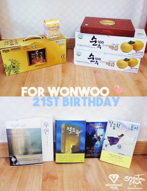 Our Wonwoo 21st Birthday Project in collaboration with SEVENTEENCHINA ended successfully. Our Korean