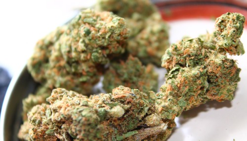 -delta-9-:  Some Mystery Bud.
