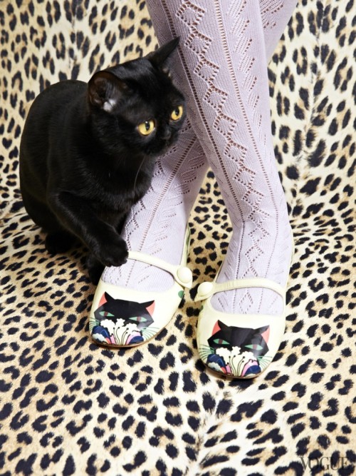 bohemianarthouse: 45-point-5-degrees:  Miu miu cat footwear.  these are a mighty need Gorgeous aren&