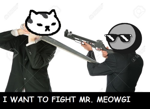 I WANT TO FIGHT MR. MEOWGI