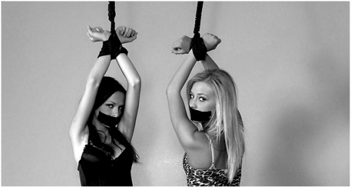 http://gaggedfantasies.tumblr.com/post/73981683692