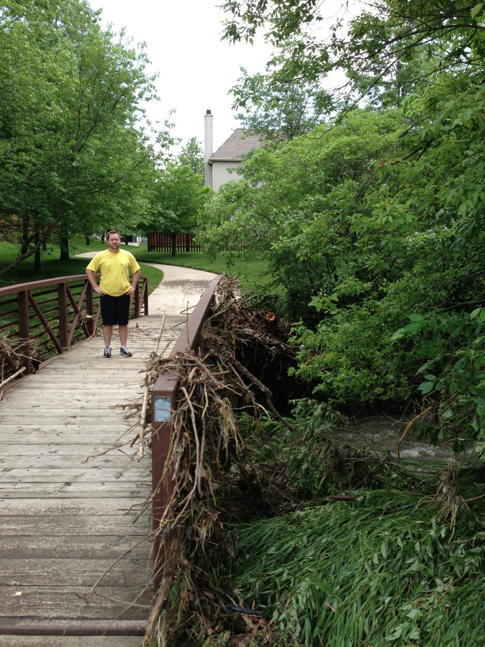 corsmos:  northerncubmn:  sleepswithteddy:  We got a lot of rain. The river by us