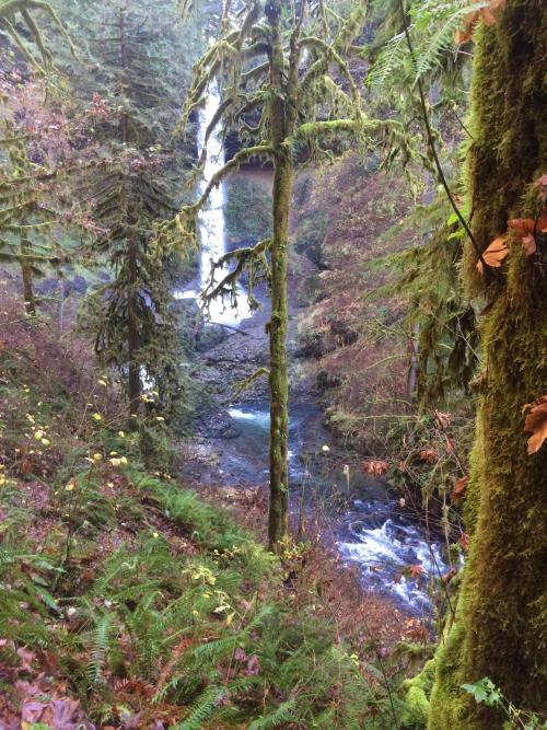 Oneshotolive:  Silver Falls Sp, Oregon, Usa (2448X3264)(Oc) 📷: Alaric_Darconville