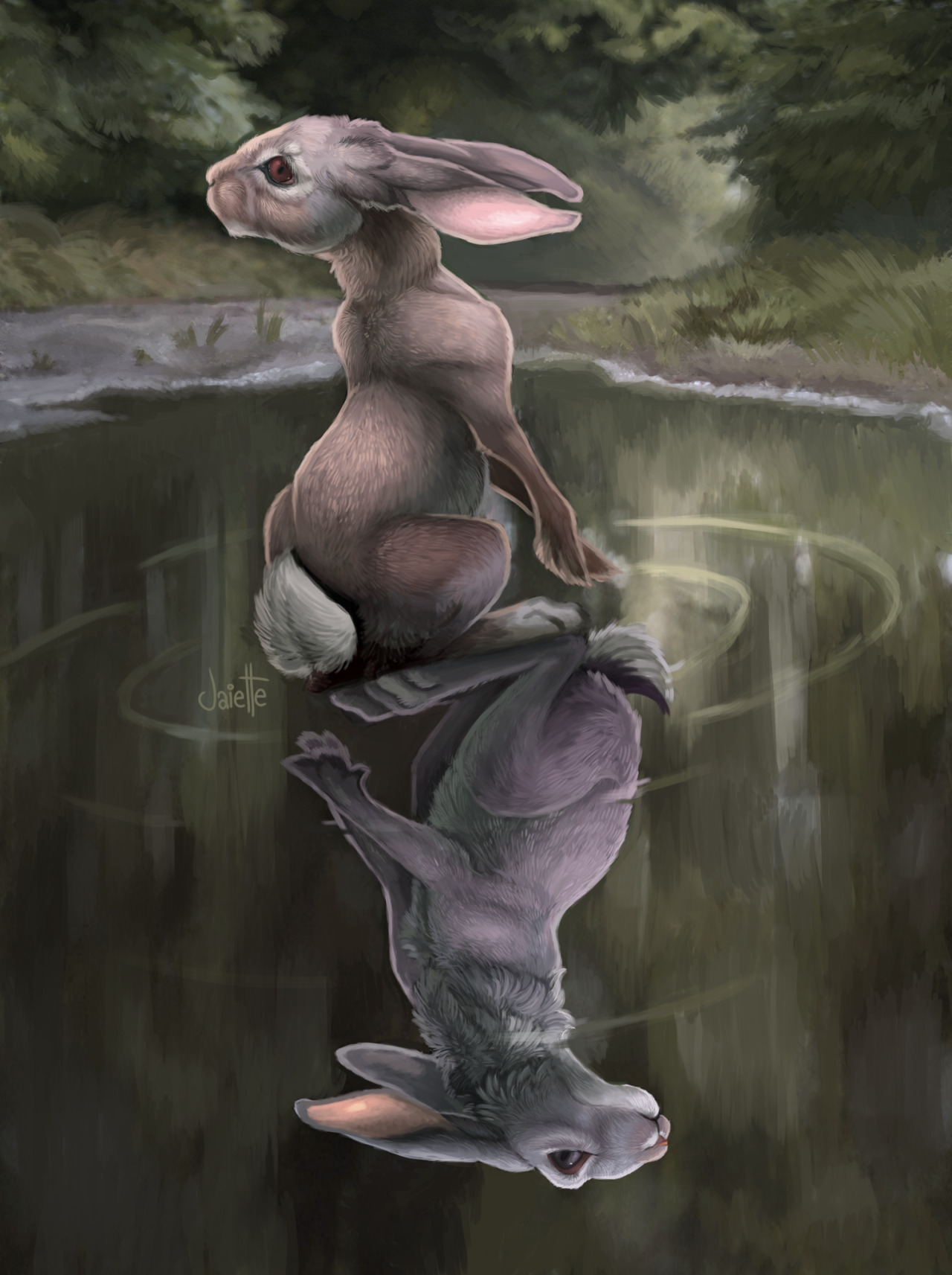jaiette:A little tribute to Richard Adams, author of Watership Down, who passed away