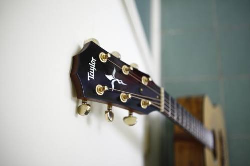 ...........GUITAR:LUST............ adult photos