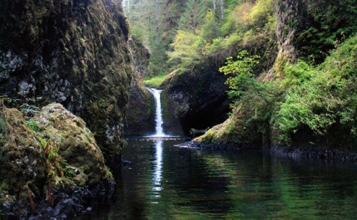 bright-witch:Eagle Creek Print Shop