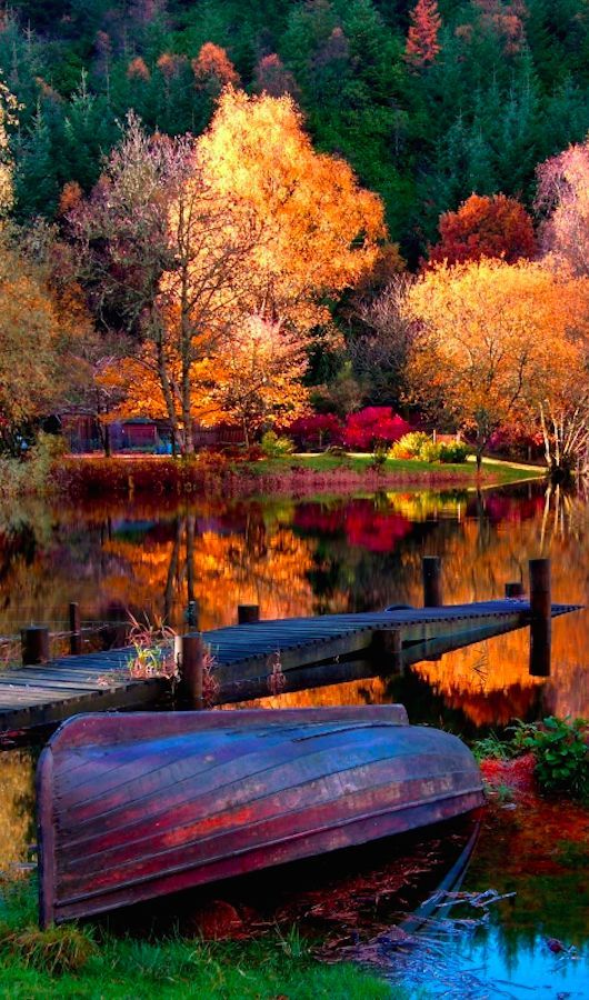 our-amazing-world:  Vibrant autumn lake Amazing World beautiful amazing 