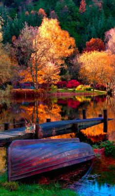 janetmillslove:  Vibrant autumn lake moment