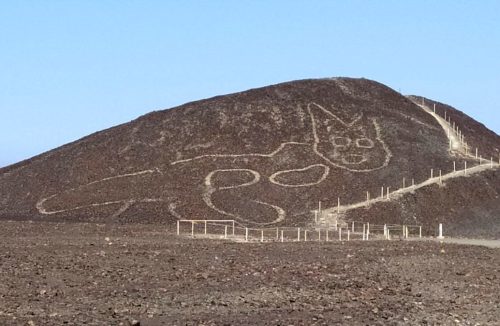 A recently (2020) discovered Nazca Lines geoglyph.