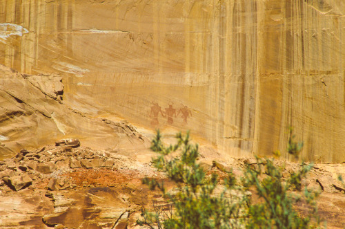 ancientart:Native American petrograph at Calf Creek Falls, Utah, USA.Photo taken by Sam Agnew.