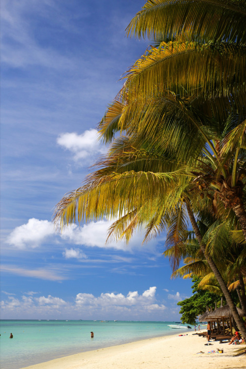 tropicaldestinations:The exotic Mauritius - Trou aux Biches (by Silviu Opris)