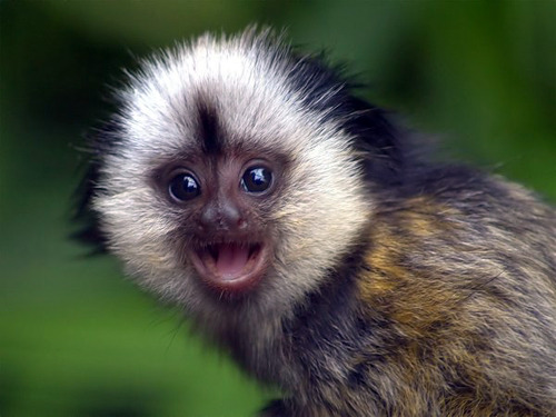 ameaganproduction:  In case you’re having a bad day… 
