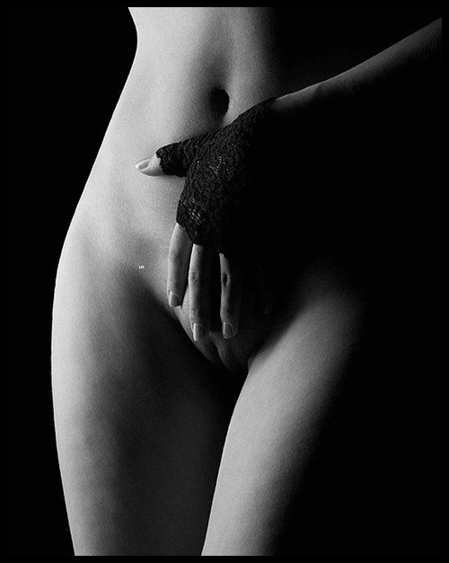 Quello che cerchi