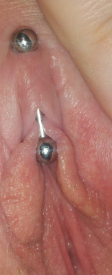 Nice closeup of a vertical clithood piercing