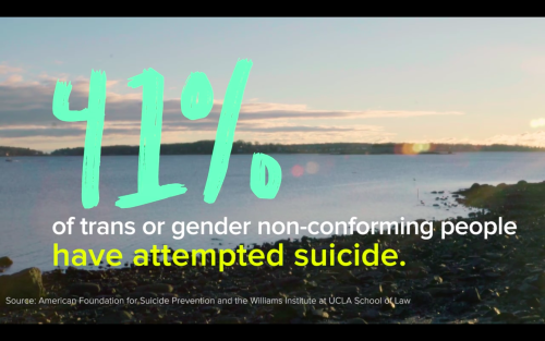 mytranssexual: One of the major concern that every trans group is trying to resolve is making the nu