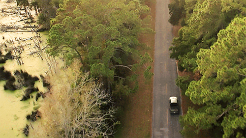Sam In Louisiana + Driving