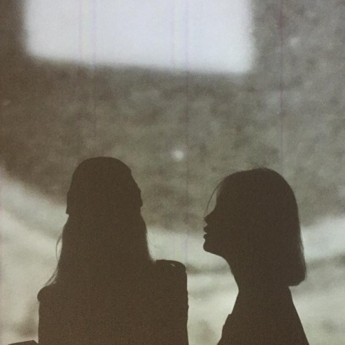 osculum:https://www.instagram.com/p/BD2dTJZiyQl/