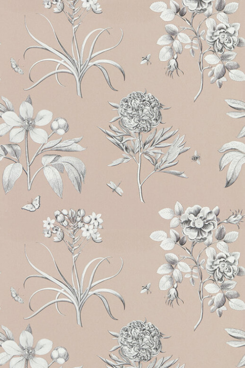 Etched Rose - Cottage Series WallpaperSix lovely floral wallpapers in colours ranging from bold to s