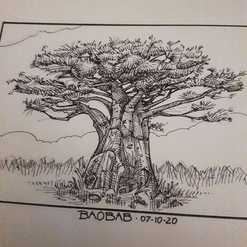 Baobab (closeup) #onedayonedrawing #moleskine #sketch_daily #sketch #sketchbook #ink #365project #bo