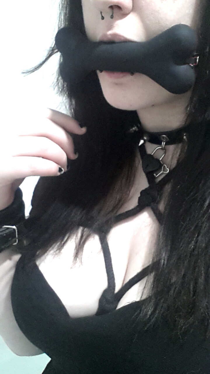 imnotneko:  mewling-kitten:  :3 Diamond harnesses are pretty.  Did I ever say I love