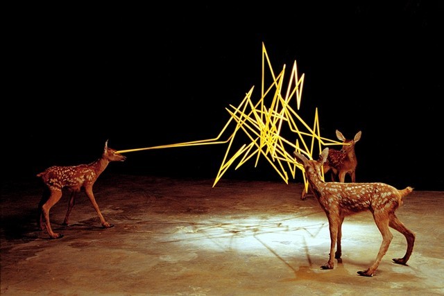 stephanieandstuff:  exhibition-ism:  The electric works of Los Angeles based artist