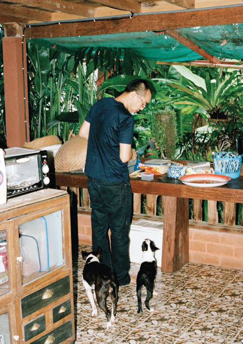 pooj-a:not a day goes by that i don’t think about apichatpong weerasethakul’s home 