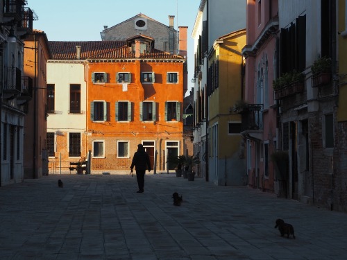 The Dorsoduro, Venice