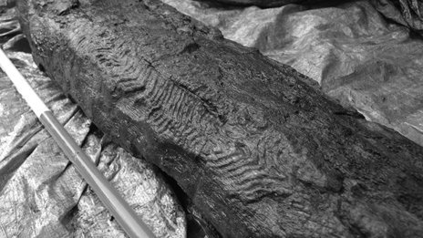 Controversial find of Late Mesolithic carved post, Wales. I think it’s natural!