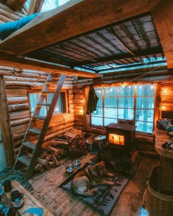 survivalcampingworld:    Cabins are like