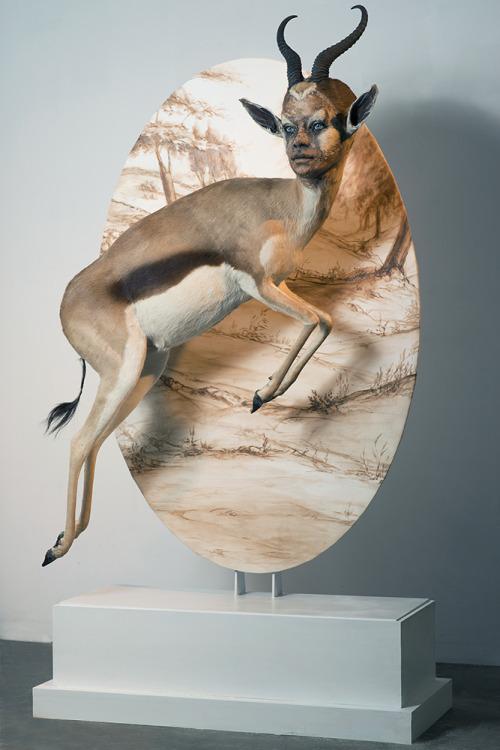 dramaticbackstory: sixpenceee: Artist Kate Clark uses clay to sculpt human faces onto taxidermed ani