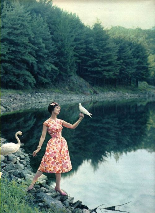 Rita Egan in a summer dress as seen in Seventeen, 1958Photo by Francisco Scavullo