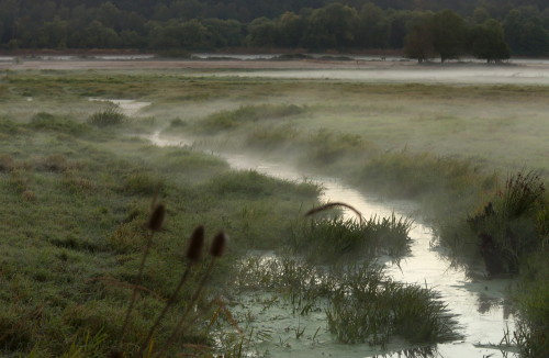 h4ilstorm:Early Morning Mist (by Adrian Mills)